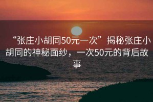 “張莊小胡同50元一次”揭秘張莊小胡同的神秘面紗，一次50元的背后故事
