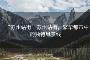 “蘇州站街”蘇州站街，繁華都市中的獨(dú)特風(fēng)景線