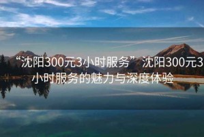 “沈陽300元3小時服務”沈陽300元3小時服務的魅力與深度體驗