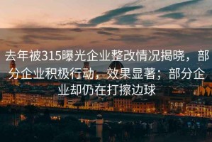 去年被315曝光企業整改情況揭曉，部分企業積極行動，效果顯著；部分企業卻仍在打擦邊球