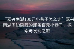 “嘉興南湖100元小巷子怎么走”嘉興南湖周邊隱藏的那條百元小巷子，探索與發現之旅