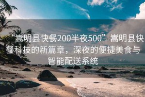 “嵩明縣快餐200半夜500”嵩明縣快餐科技的新篇章，深夜的便捷美食與智能配送系統