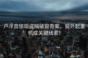 盧浮宮驚現盜賊破窗奇案，窗外起重機成關鍵線索！