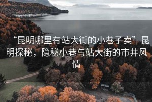 “昆明哪里有站大街的小巷子賣”昆明探秘，隱秘小巷與站大街的市井風情