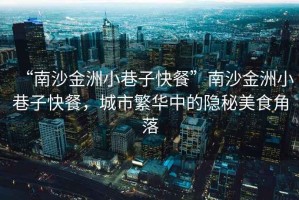 “南沙金洲小巷子快餐”南沙金洲小巷子快餐，城市繁華中的隱秘美食角落