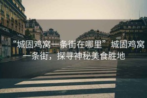 “城固雞窩一條街在哪里”城固雞窩一條街，探尋神秘美食勝地