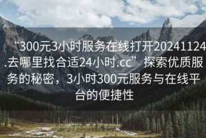 “300元3小時服務在線打開20241124.去哪里找合適24小時.cc”探索優質服務的秘密，3小時300元服務與在線平臺的便捷性