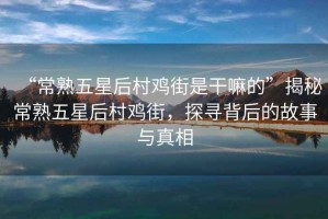 “常熟五星后村雞街是干嘛的”揭秘常熟五星后村雞街，探尋背后的故事與真相