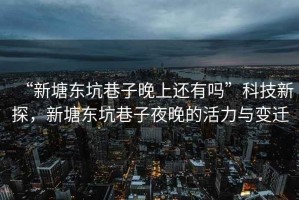 “新塘東坑巷子晚上還有嗎”科技新探，新塘東坑巷子夜晚的活力與變遷