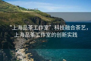 “上海品茶工作室”科技融合茶藝，上海品茶工作室的創新實踐