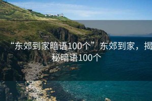 “東郊到家暗語100個”東郊到家，揭秘暗語100個