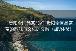 “貴陽全區品茶加v”貴陽全區品茶，茶的韻味與文化的交融（加V體驗）
