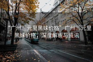 “廣州三元里黑妹價格”廣州三元里黑妹價格，深度解析與資訊