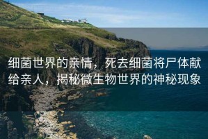 細菌世界的親情，死去細菌將尸體獻給親人，揭秘微生物世界的神秘現象