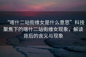 “喀什二站街維女是什么意思”科技聚焦下的喀什二站街維女現象，解讀背后的含義與現象