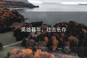 英雄暮年，壯志長存