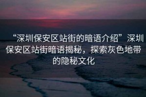 “深圳保安區站街的暗語介紹”深圳保安區站街暗語揭秘，探索灰色地帶的隱秘文化