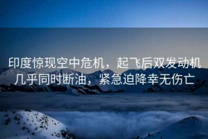 印度驚現(xiàn)空中危機(jī)，起飛后雙發(fā)動機(jī)幾乎同時斷油，緊急迫降幸無傷亡