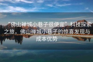 “佛山禪城小巷子很便宜”科技探索之旅，佛山禪城小巷子的驚喜發現與成本優勢