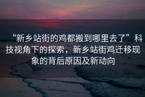“新鄉站街的雞都搬到哪里去了”科技視角下的探索，新鄉站街雞遷移現象的背后原因及新動向