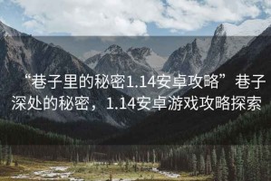 “巷子里的秘密1.14安卓攻略”巷子深處的秘密，1.14安卓游戲攻略探索