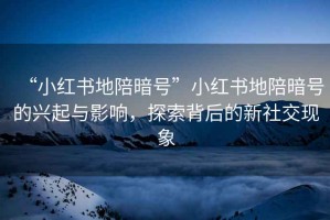 “小紅書地陪暗號”小紅書地陪暗號的興起與影響，探索背后的新社交現象