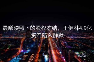 晨曦映照下的股權凍結，王健林4.9億資產陷入靜默