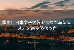 悲劇！日本女子為躲避海嘯駕車墜崖，從30米高空墜落身亡
