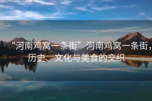 “河南雞窩一條街”河南雞窩一條街，歷史、文化與美食的交織