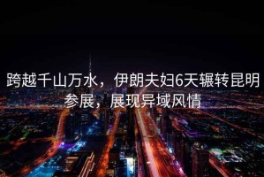 跨越千山萬水，伊朗夫婦6天輾轉(zhuǎn)昆明參展，展現(xiàn)異域風(fēng)情