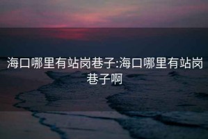 海口哪里有站崗巷子:海口哪里有站崗巷子啊