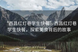 “西昌紅燈巷學(xué)生快餐”西昌紅燈巷學(xué)生快餐，探索美食背后的故事