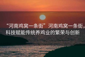 “河南雞窩一條街”河南雞窩一條街，科技賦能傳統養雞業的繁榮與創新