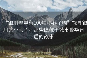 “銀川哪里有100塊小巷子啊”探尋銀川的小巷子，那些隱藏于城市繁華背后的故事