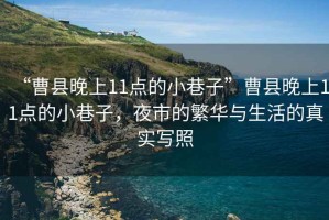 “曹縣晚上11點的小巷子”曹縣晚上11點的小巷子，夜市的繁華與生活的真實寫照
