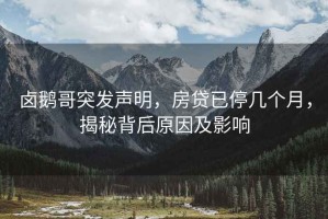 鹵鵝哥突發(fā)聲明，房貸已停幾個月，揭秘背后原因及影響