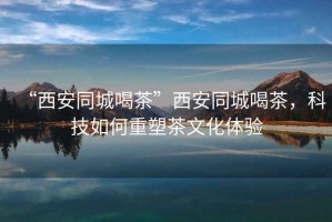 “西安同城喝茶”西安同城喝茶，科技如何重塑茶文化體驗(yàn)