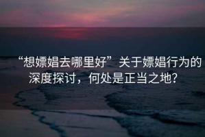 “想嫖娼去哪里好”關于嫖娼行為的深度探討，何處是正當之地？