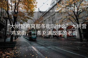“大樹(shù)營(yíng)雞窩那條街叫什么”大樹(shù)營(yíng)雞窩街，一條充滿故事的老街