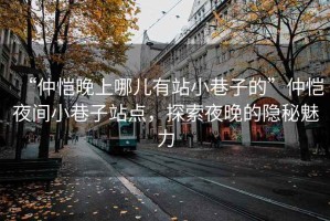 “仲愷晚上哪兒有站小巷子的”仲愷夜間小巷子站點，探索夜晚的隱秘魅力