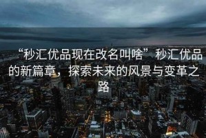 “秒匯優品現在改名叫啥”秒匯優品的新篇章，探索未來的風景與變革之路