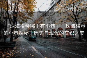 “珠海橫琴哪里有小巷子”珠海橫琴的小巷探秘，歷史與現代的交織之美