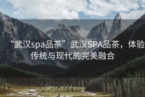 “武漢spa品茶”武漢SPA品茶，體驗傳統與現代的完美融合