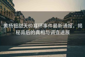 黃楊鈿甜天價耳環事件最新通報，揭秘背后的真相與調查進展
