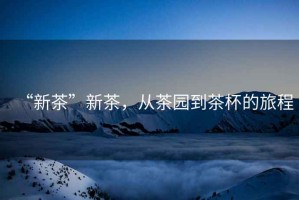 “新茶”新茶，從茶園到茶杯的旅程