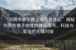 “華陰市巷子晚上暗號是什么”揭秘華陰市巷子夜晚的神秘暗號，科技與安全的無縫對接