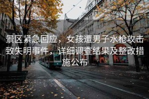 景區緊急回應，女孩遭男子水槍攻擊致失明事件，詳細調查結果及整改措施公布