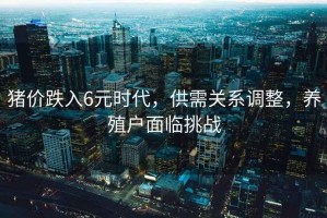 豬價(jià)跌入6元時(shí)代，供需關(guān)系調(diào)整，養(yǎng)殖戶(hù)面臨挑戰(zhàn)