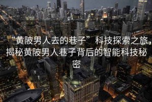 “黃陂男人去的巷子”科技探索之旅，揭秘黃陂男人巷子背后的智能科技秘密