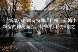 “新塘小粉房有特殊項目嗎”新塘小粉房的神秘面紗，特殊項目的探索之旅